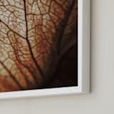 "Beauty in the details 2" - Art Print in Milk Chocolate brown by Aspa Gika - Frame Close-up