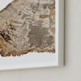 "Slice From the Past I" - Art Print in Ancient wood by Ilze Lucero - Frame Close-up