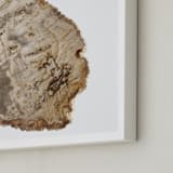 "Slice From the Past II" - Art Print in Ancient wood by Ilze Lucero - Frame Close-up