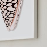 "Modern Marble Cone Shell" - Art Print in Misty Rose by Artsy Canvas Girl Designs - Frame Close-up