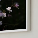 "Untamed 1" - Art Print in Wildflower by Shannon Howard - Frame Close-up