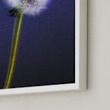 "Dandy Stack" - Art Print in Royal Dandelion by Jeff Preuss - Frame Close-up