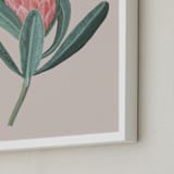 "Protea 1b" - Art Print in hot vanilla by Nina Leth - Frame Close-up