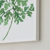 "Greenery II" - Art Print in Soft Green by Luz Alliati - Frame Close-up