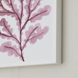 "Sea Botanicals V" - Art Print in Rosewood by Luz Alliati - Frame Close-up