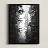 "Redwood Morning" - Art Print in Black & Whtie by Kamala Nahas - Framed
