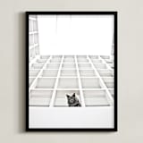 "Sophies Jungle" - Art Print in Black and White by Katrina Leandro - Framed