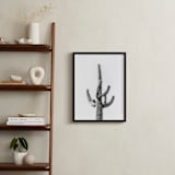 "Lone Cactus" - Art Print in Black and white by Ellen Schlegelmilch - In a Room