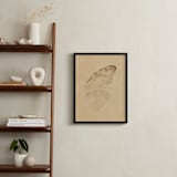 "Vintage Mariposa II" - Art Print in Vintage Ivory by jinseikou - In a Room