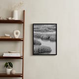 "Marshlands 2" - Art Print in Black & White by Elizabeth Pyle - In a Room
