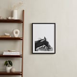 "Foal" - Art Print in Charcoal by Anne Ciotola - In a Room