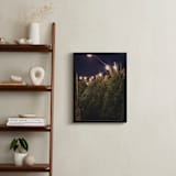 "Lit Trees" - Art Print in Midnight by Erin Niehenke - In a Room
