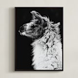 "Kai" - Art Print in Black White by Amy Carroll - Framed Canvas
