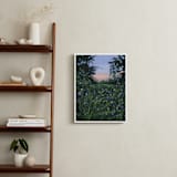 "Wildflowers At Dusk" - Art Print in Dark Emerald Green by Weronika Zubek - In a Room