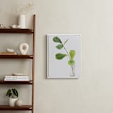 "Clipping" - Art Print in summer green by Monica Loos - In a Room