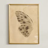 "Vintage Mariposa I" - Art Print in Vintage Ivory by jinseikou - Framed