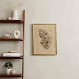 "Vintage Mariposa I" - Art Print in Vintage Ivory by jinseikou - In a Room