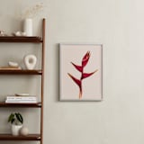 "heliconia 3" - Art Print in Heliconia by Kamala Nahas - In a Room
