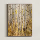 "filtered light" - Art Print in Harvest Yellow by Eric Clegg - Framed
