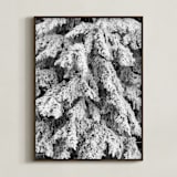 "Frost 3" - Art Print in Black & White by Ardell McLennan - Framed