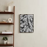 "Frost 3" - Art Print in Black & White by Ardell McLennan - In a Room