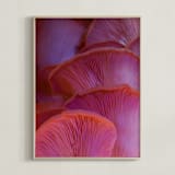 "Pink Oyster Mushrooms" - Art Print in Dreamy Pink Violet by Elena Kulikova - Framed