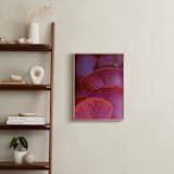 "Pink Oyster Mushrooms" - Art Print in Dreamy Pink Violet by Elena Kulikova - In a Room