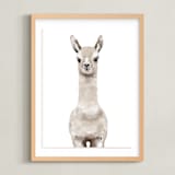 "Baby Animal Llama" - Art Print in Milky foam by Cass Loh - Framed