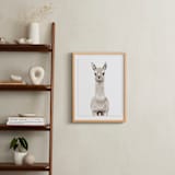 "Baby Animal Llama" - Art Print in Milky foam by Cass Loh - In a Room