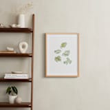 "Frog sketches" - Art Print in Pastel Green by Catilustre - In a Room