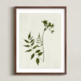 "Foraged II" - Art Print in Verdant by Kamala Nahas - Framed