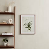 "Foraged III" - Art Print in Verdant by Kamala Nahas - In a Room