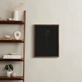 "Seedling Elm II" - Art Print in Deep Elm by Andrew McClintock - In a Room