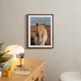 "Icelandic Horses I" - Art Print in Golden by Crystal Lynn Collins - In a Room