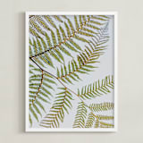 "Synthesis" - Art Print in Fern Green by Shannon Terrell - Framed