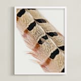 "Feather Study I" - Art Print in Auburn by Becca Beers - Framed