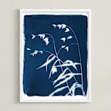 "Sea Oats Cyanotype" - Art Print in Ocean by Renée Stramel - Framed