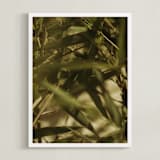 "Bamboo Breeze" - Art Print in Bamboo Green by Katie Buckman - Framed
