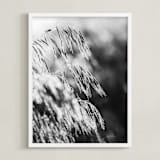 "Dancing grass II" - Art Print in Shadow by Magdalena Kucova - Framed