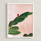 "Pink Hawaiian" - Art Print in Soft Pink by The One With Wanderlust - Framed