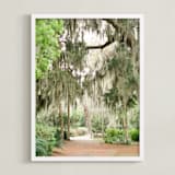 "Spanish Moss" - Art Print in Savannah Grey by Lindsay Madden - Framed