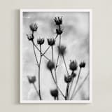 "Autumn detail" - Art Print in Fog by Magdalena Kucova - Framed