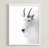 "Fierce" - Art Print in Mountain Granite by Jamie Lollback - Framed