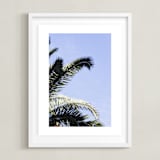 "Palm II" - Art Print in Sky Blue by Annie Montgomery - Framed