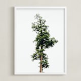 "Solo" - Art Print in spring rain by Kamala Nahas - Framed