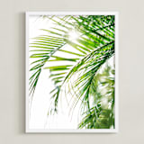 "Palm 3" - Art Print in color by Kamala Nahas - Framed