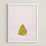 "Tiny Wings" - Art Print in Dusty Pink by Andrew McClintock - Framed