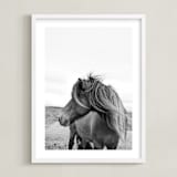"A Horse and the Wind" - Art Print in Icland wind by Ilze Lucero - Framed