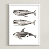 "Three Stacked Whales" - Art Print in Grey by Two if by Sea Studios - Framed