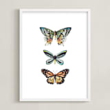 "Butterfly Colorful Watercolors" - Art Print in Butterfly wing black by Lauren Rogoff - Framed